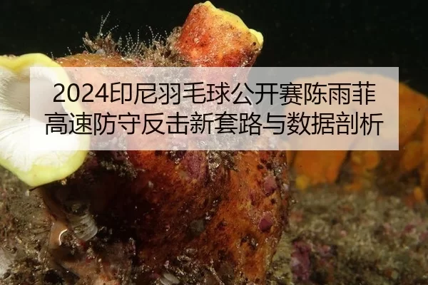 2024印尼羽毛球公开赛陈雨菲高速防守反击新套路与数据剖析