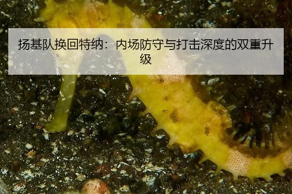 yang-ji-dui-huan-hui-te-na-nei-chang-fang-shou-yu-da-ji-shen-du-de-shuang-chong-sheng-ji-2-836.jpg