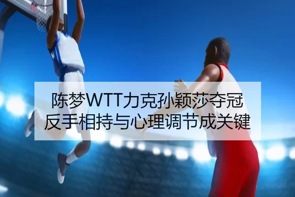 chen-meng-li-ke-sun-ying-sha-duo-guan-fan-shou-xiang-chi-yu-xin-li-tiao-jie-cheng-guan-jian-3-208.jpg